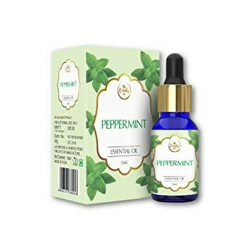 https://cdn.shopify.com/s/files/1/1857/6931/products/T4XtEqt1id.jpg?v=1662112121